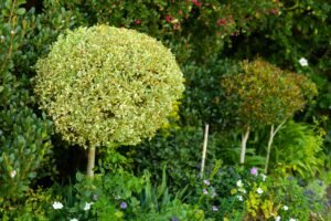 Full frame shot of various flowers with plants and trees growing in park