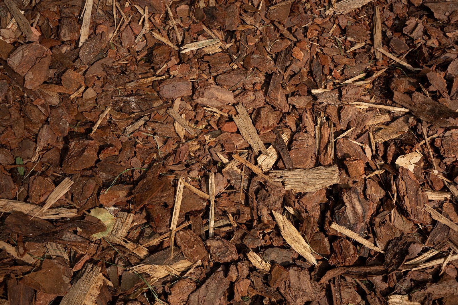 Natural mulch background image